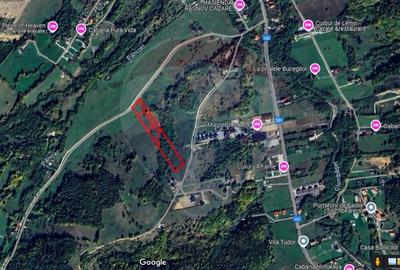 Comision 0! Teren Rasnov- Strada Valea Panicelului, 2263mp - 7