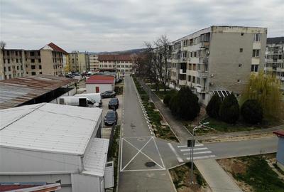 Moldova Noua, Spatiu Comercial - Macelarie, Utilata, Vanzare sau Inchiriere - 18