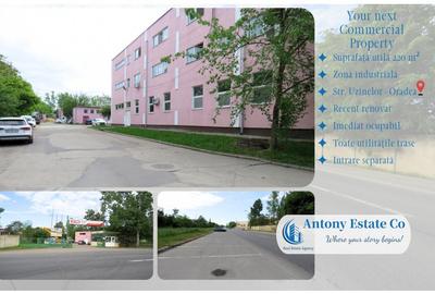 Birouri, Depozit de inchiriat, Uzinelor , Parc Industrial - Oradea - 6
