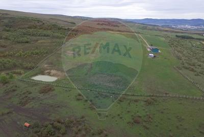Teren 9.42 ha extravilan + casa 230 mp, COMISION 0% - 24