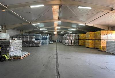 Centru logistic de inchiriat in Tulcea - 3