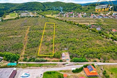 Teren Construcții extravilan de 6510 mp, în Simeria