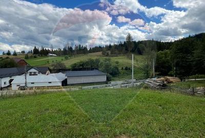 Teren 4397 mp Intravilan Manastirea Humorului / Lunga Bucovina - 12