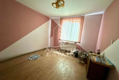 Casa Individuala de vanzare situata in localitatea Utvin - 7