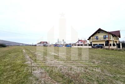 Teren intravilan | 3000 mp | 12 ml deschidere | Barabant - 2