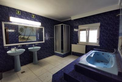 VILA | D+P+1 | BD. MAMAIA - 12