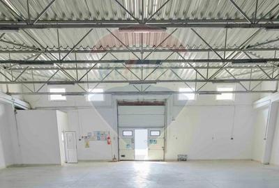 De vânzare Spațiu industrial de 10 129 mp, Șoseaua Borșului - 7