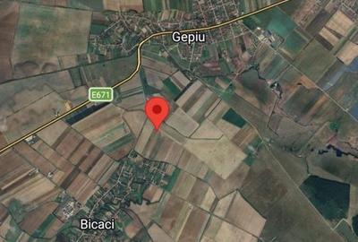 Teren intravilan parcelabil Gepiu 7 E mp - 1