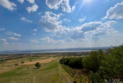 Pivnita + parcela de vie | de vanzare | Uileacu de Cris, Bihor - 6
