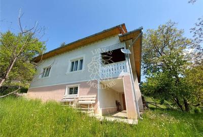 Cabana/ Casa Vacanta-4 camere-gradina 1800 mp- Mijlocenii Bargaului - 4