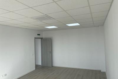 Hala depozitare si productie 595 mp , Chitila - Rudeni - 7