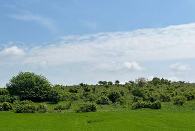 Teren Extravilan de Vanzare, zona Episcopia, Oradea, judetul Bihor - 4
