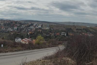 Teren intravilan 479mp in Dezmir - 3