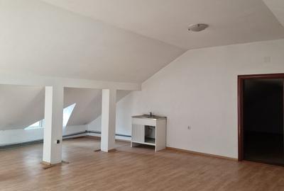 Splaiul Unirii - Calea Vitan- Mihai Bravu - Vila moderna - 330 mp, P+1E+M, garaj - 22