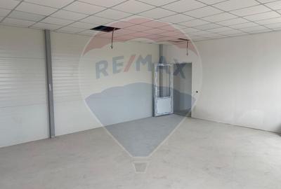 Hala moderna 1436 mp 2 rampe drive in H 10 m Luna de Sus - 10