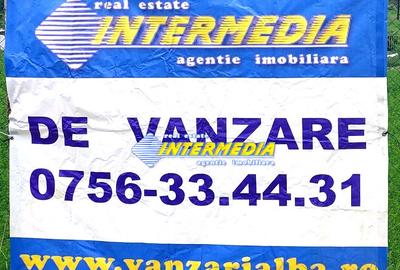 Teren extravilan de vanzare in suprafata de 15800 mp in Salistea, judet Alba - 2