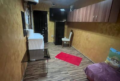 Camera de camin, 10.51 mp, zona Valea Rosie - 1