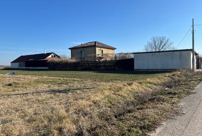 Gradistea- Ilfov, str. Nuferilor - 1000 mp - 9