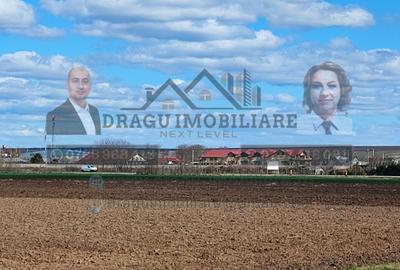 Teren extravilan 13.500 mp/ Valea Marului - 2