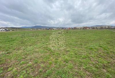 Teren Intravilan 550 mp-ideal casa-Zona Zavoaie - 2