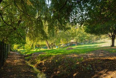 Teren Construcții intravilan de 3290 mp, în Central