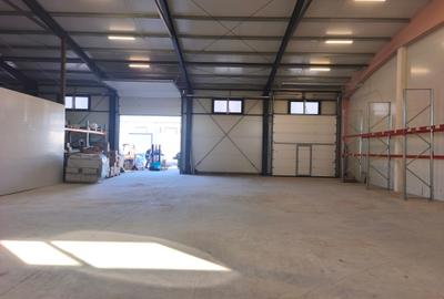 Hala Mosnita Noua 300 mp/5 euro+ TVA - 4