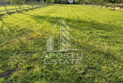 Casa de vacanta cu. teren 31.300  Nadas, 38 km de Timisoara. - 5