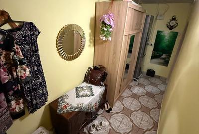 Apartament cu o camera 45 mp, renovat, centrală proprie – Viaduct - 5
