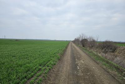 Teren de vânzare  Tunari  27 euro mp - 1