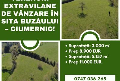 Două terenuri extravilane de vânzare în Sita Buzăului – Ciumernic! - 1