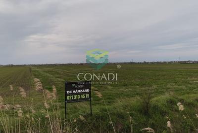 Teren Construcții intravilan de 535 mp, în Tărtășești