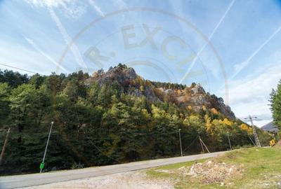 VANZARE / SCHIMB  PENSIUNE in zona de munte, langa Pestera Muierilor - 13