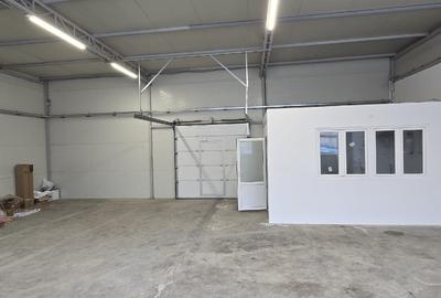 Hala 300 mp in Parcul Industrial Roman pt. productie, depozitare, servicii - 2