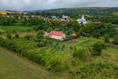 Vila / casa de vanzare in jud. Bacau, Ungureni - 17
