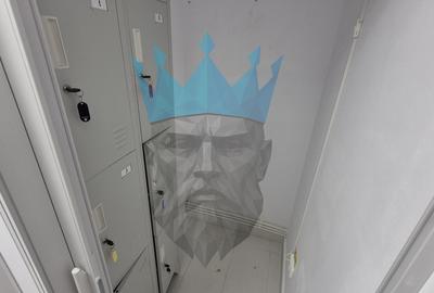 Spatiu Comercial Tei - 9