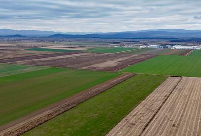 Teren Prejmer - Parc industrial - 5