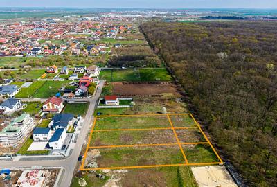 Teren construibil Dumbravita | langa Padurea Verde | Comision 0% - 9