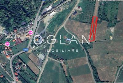 Teren Tocile (parcelabil) 3500 mp - 2