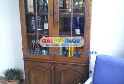 Apartament 2 camere Jiului complet mobilat si utilat s020 - 20