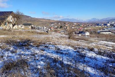 Teren intravilan 1425 mp-pretabil casa P+2E-Zona Drumul Tarpiului - 6