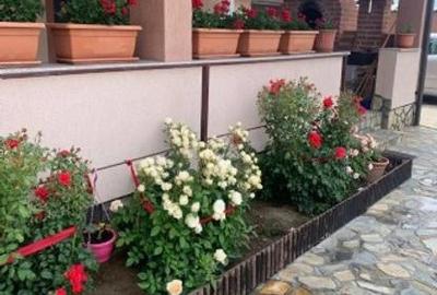 Casă cu piscină, modernă la curte – sat Fălăștoaca, comuna Comana - 8