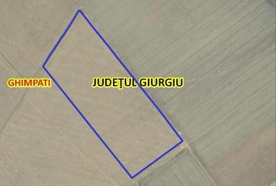Teren Extravilan GIURGIU 16 Ha (la 50km de București) - 1