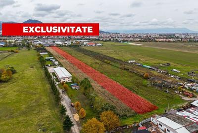 Teren industrial- Timișul Sec oportunitate investițională - 1