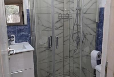 Proprietar,casa renovata ,teren 2000 mp deschidere 113 m,Farcasele Olt - 11