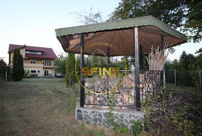 Vila impunatoare cu iesire la lac, Peris - 21