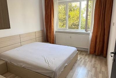 Proprietar, Drumul Taberei, Valea Argesului, Aleea Parva - 3