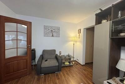 Dristor-3 minute metrou,renovat complet - 12
