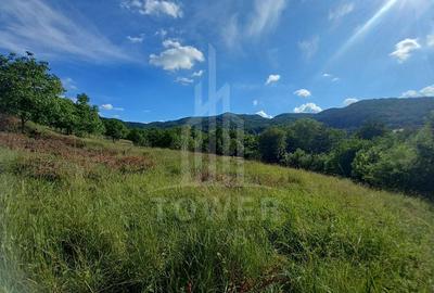 Teren în Fântânele – 3.673 mp, pârâu si cadru natural  deosebit - 13