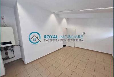Royal Imobiliare - Inchiriere Spatiu Industrial zona Vest - 13