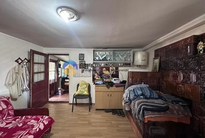 Casa tradițională de vânzare - Alexandru cel Bun - 20